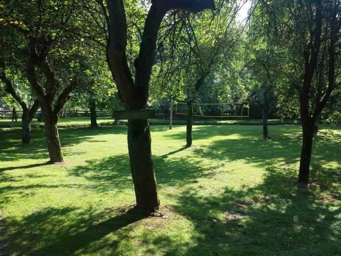Kamp Na Otoku - Ljubno Ob Savinji Hotel Екстериор снимка