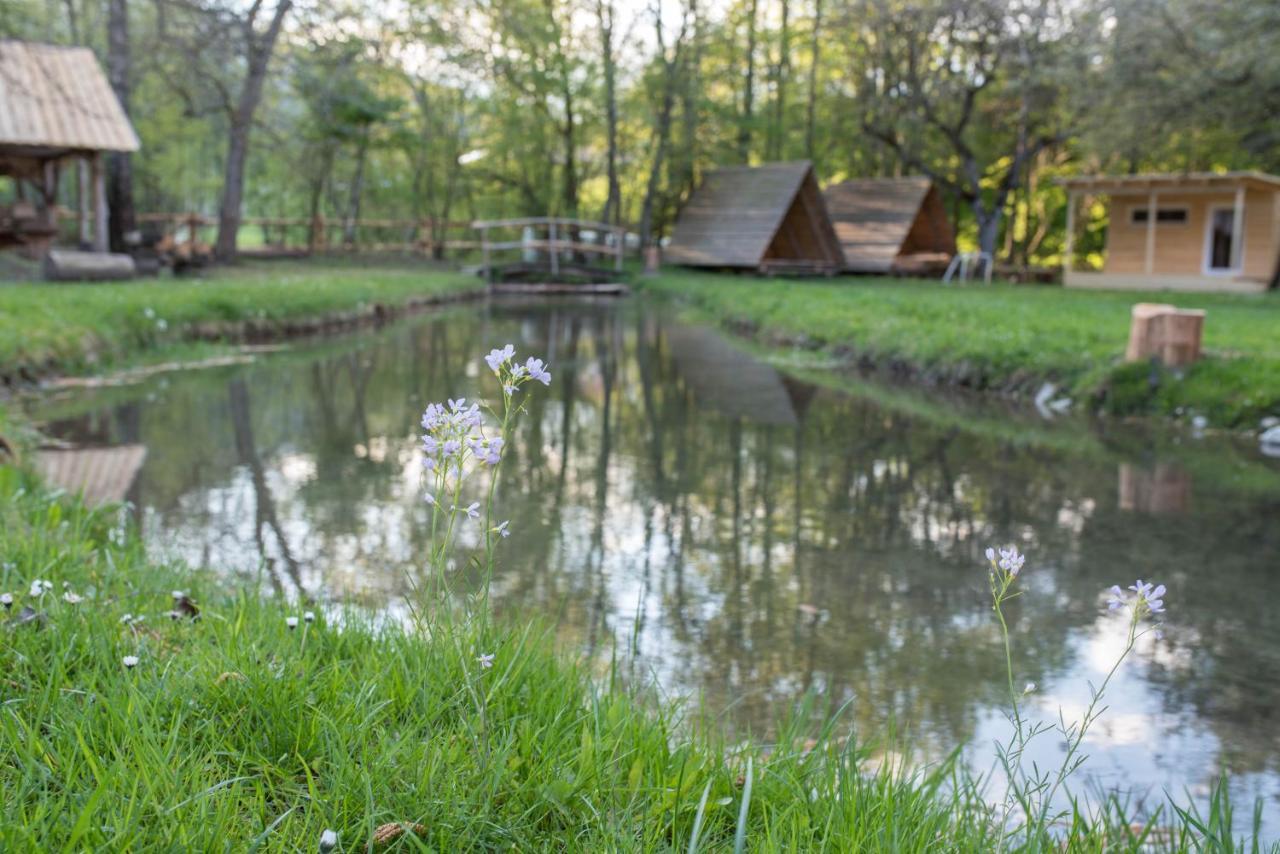 Kamp Na Otoku - Ljubno Ob Savinji Hotel Екстериор снимка